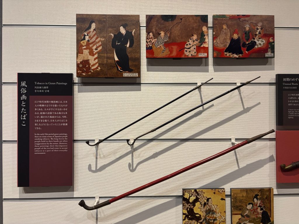 Kiseru, traditional Japanese pipes with long stems and small bowls, on display in the Tobacco & Salt Museum in Tokyo, alongside Edo-period paintings depicting their use